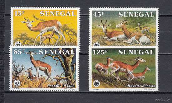 Фауна. Сенегал. 1986. 4 марки. Michel N 875-878 (9,0 е)
