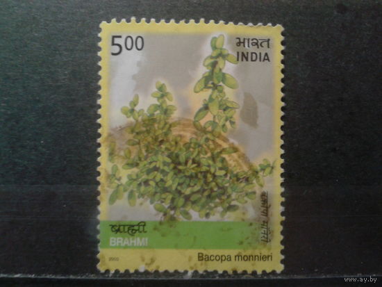 Индия 2003 Лекарственное растение