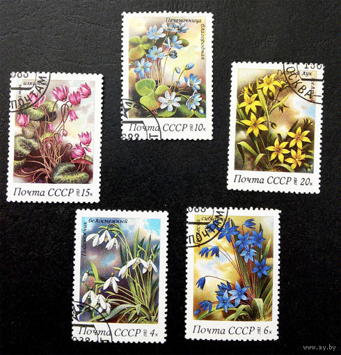 СССР 1983 г. Весенние цветы. Растения. Флора, полная серия из 5 марок #0072-Ф2P13