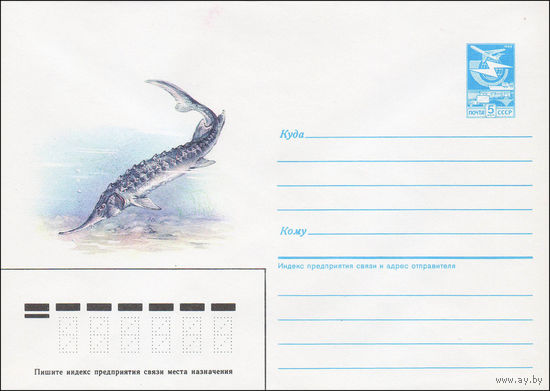 Художественный маркированный конверт СССР N 85-565 (27.11.1985) [Севрюга]