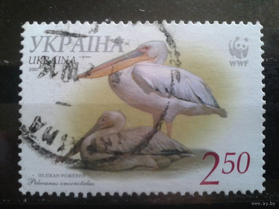 Украина 2007 Пеликан WWF
