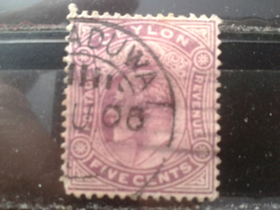 Цейлон 1903 Король Эдуард 7 5с