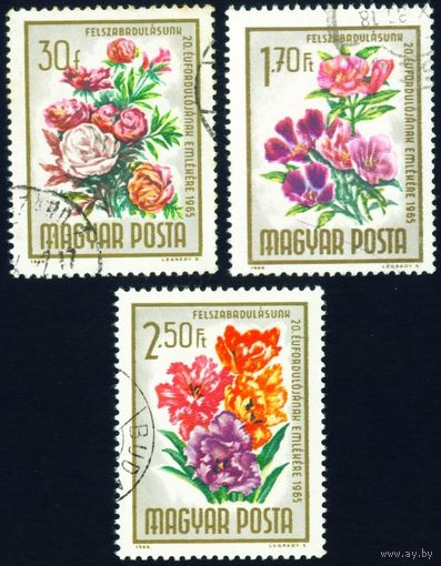 20-я годовщина освобождения Венгрии. Цветы Венгрия 1965 год 3 марки