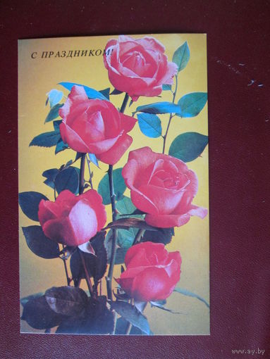 Почтовая карточка.СССР.1984г.Чистая.