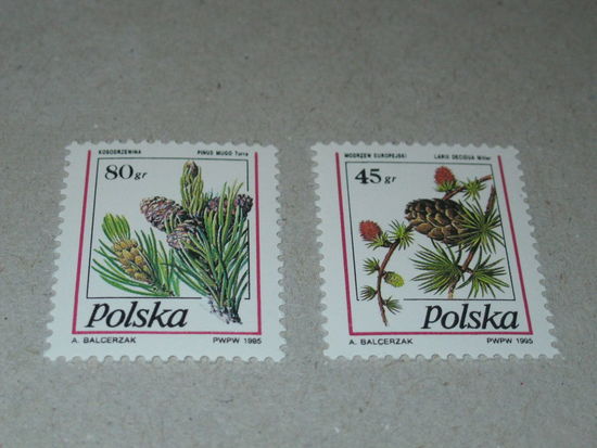 Марки Польши "Плоды еловых деревьев" 1995 год (No3530-3531)
