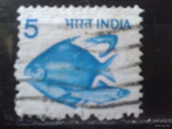 Индия 1979 Стандарт, рыбы