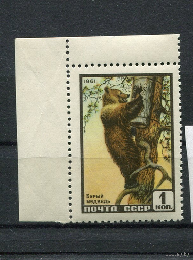 СССР, 1961 Фауна Медведь ** (РН)