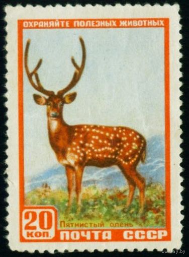 Фауна СССР 1957 год 1 марка