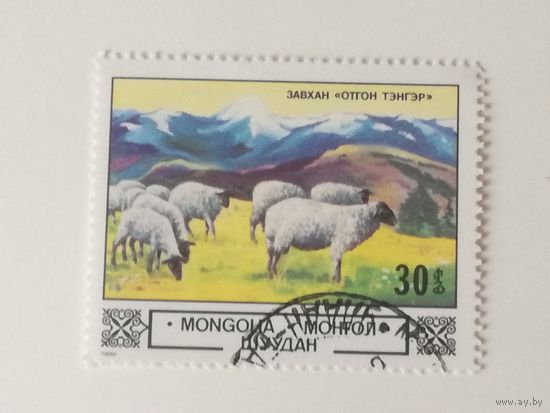 Монголия 1982. Животные и ландшафты