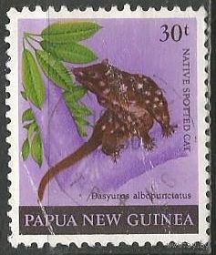 Папуа Новая Гвинея. Сумчатая куница. 1980г. Mi#399.
