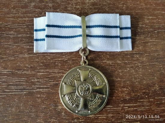 Медаль ордена Родительская Слава женский вариант копия
