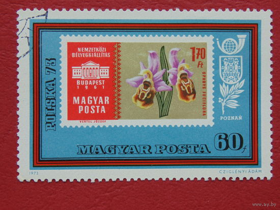 Венгрия 1973г. Цветы.