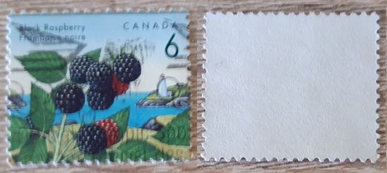 Канада 1992 Съедобные ягоды. Черная малина