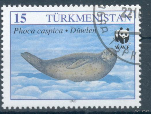 Туркмения, Туркменистан, 1993, морская фауна (гашеные)