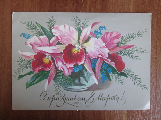 Почтовая открытка.1984г.Г.Куртенко.