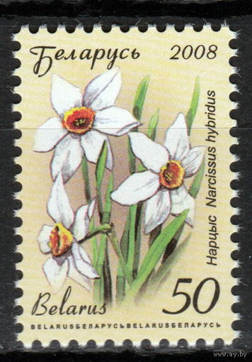 Беларусь 2008 Нарцисс 12 стандарт мел