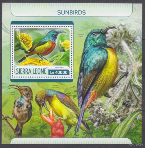 2017 Сьерра-Леоне 8619/B1252 Птицы 11,00 евро