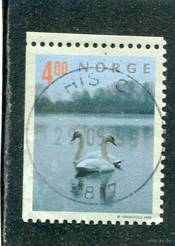 Норвегия. Туризм. Лебеди на пруду