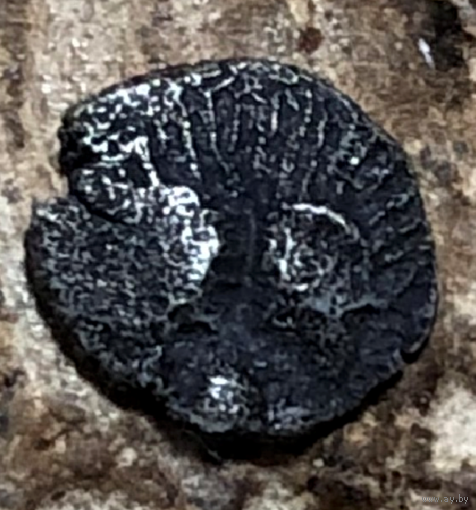 Пантикапей. 470 -460 год до н.э. Серебро Диобол, 0,13 гр.5,5 мм