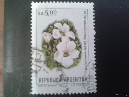 Аргентина 1984 5,00