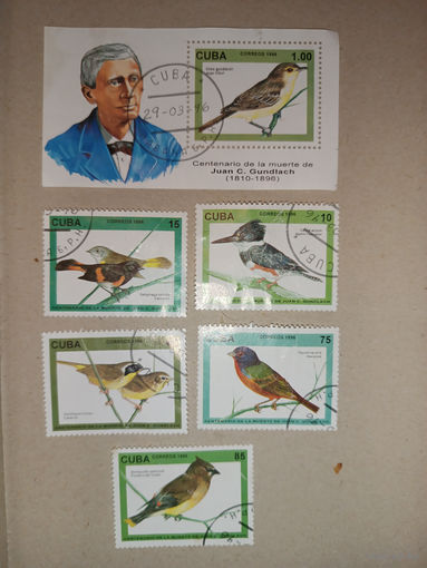 Куба, птицы. Блок + марки