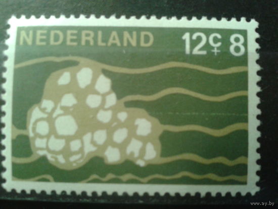 Нидерланды 1967 Морской моллюск из семейства трубачей**
