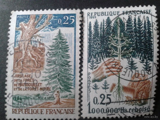 Франция 1965-8 лес, деревья