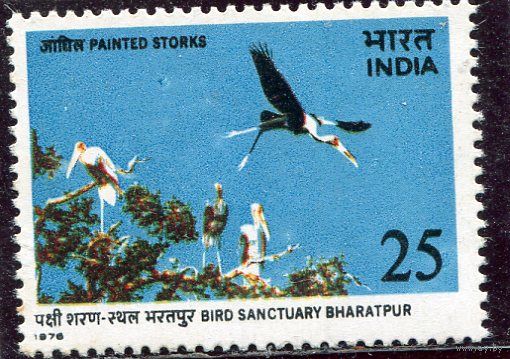 Индия. Птичий заповедник Бхаратпур