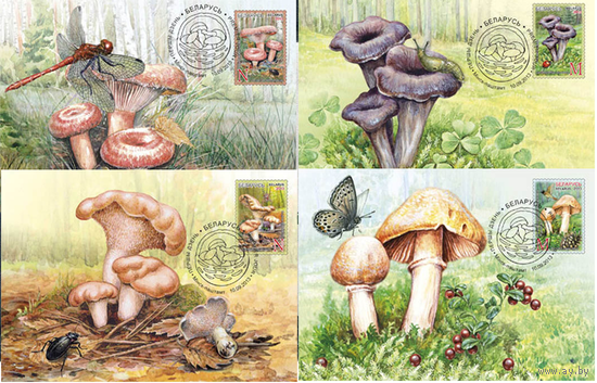Беларусь 2013 флора грибы серия 4 Картмаксимума