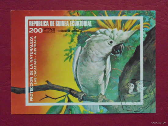 Экв. Гвинея 1973. Фауна.
