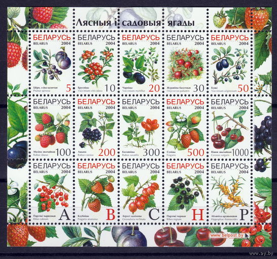 Беларусь 2004 Лесные и садовые ягоды (6)