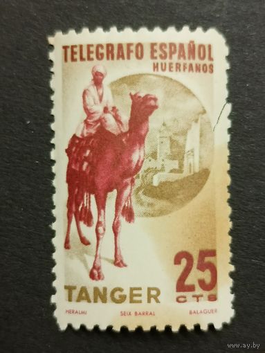 Испанский Танжер 1955. Фауна