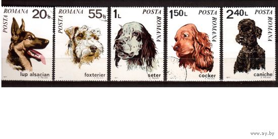 Румыния-1971,(Мих. 2908-2913)  гаш. , 5 марок, Фауна, Собаки