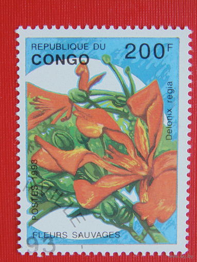 Конго 1993г.  Флора.