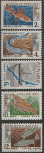 З. 3313/17. 1966. Промысловые рыбы Байкала. ЧиСт.