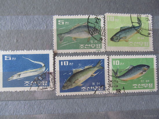 КНДР. 1962.  Рыбы