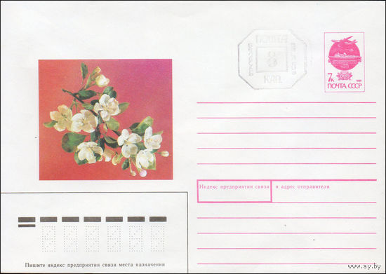 Художественный маркированный конверт СССР N 91-284(N) (21.10.1991) [Ветка яблони]