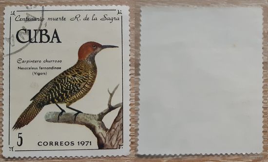 Куба 1971 100-летие со дня смерти Рамона де ла Сагра, натуралиста, кубинских птиц.5 с