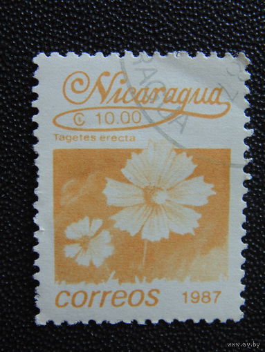 Никарагуа 1987 г. Флора.