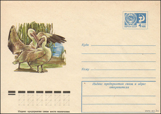 Художественный маркированный конверт СССР N 10531 (12.05.1975) [Розовый пеликан]