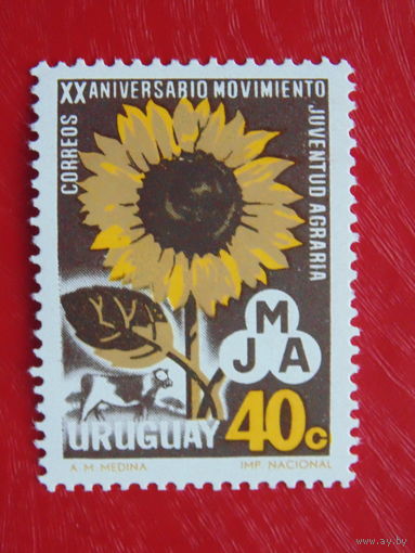 Уругвай. Флора