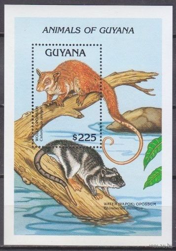 1992 Гайана 3882/B203 Фауна  MNH
