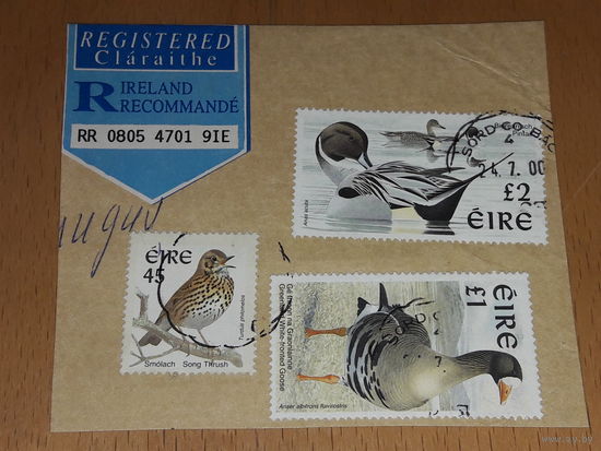 Ирландия 1997 - 1999 Фауна. Птицы. Вырезка 3 марки