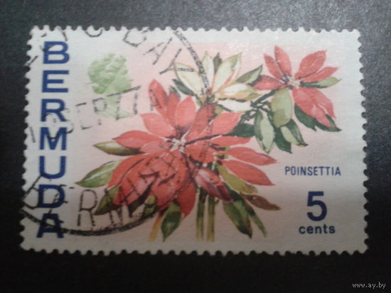 Бермуды, колония Англии 1970 Цветы