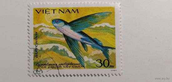 Вьетнам 1984. Рыбы