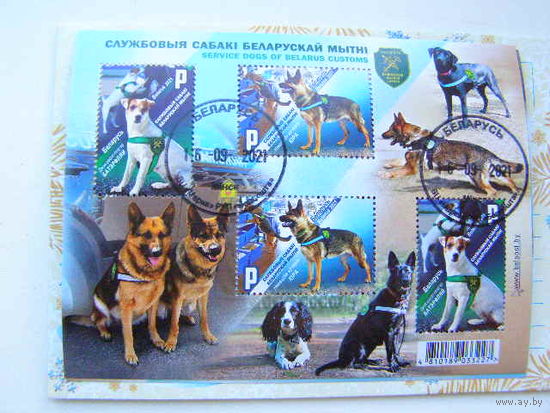 Служебные собаки белорусской таможни ФАУНА Беларусь 2021 лист** гаш
