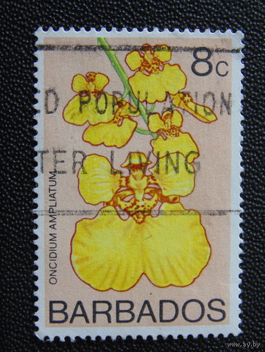 Британский Барбадос 1974 г. Цветы.