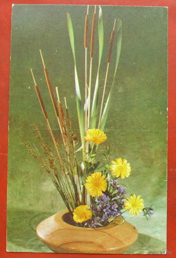 Композиция из цветов. Чистая. 1977 года. Фото Тужикова. 572.