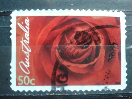 Австралия 2006 Валентинов день, роза