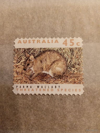 Австралия 1997. Parma Wallaby
